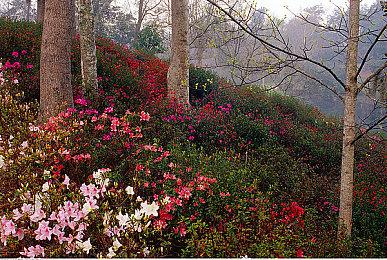 NEOWIZ《小骨：英雄杀手》，主机版本全球正式上市